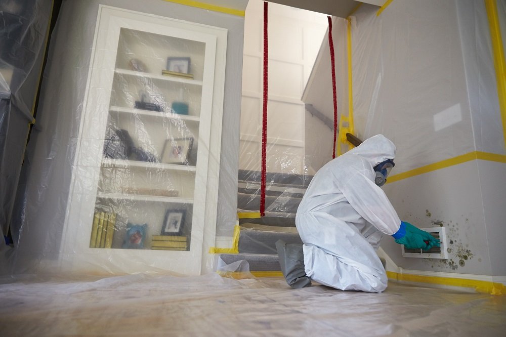 mold remediation chicago il cook county il lake county il servicemaster Restoration by simons U.S
