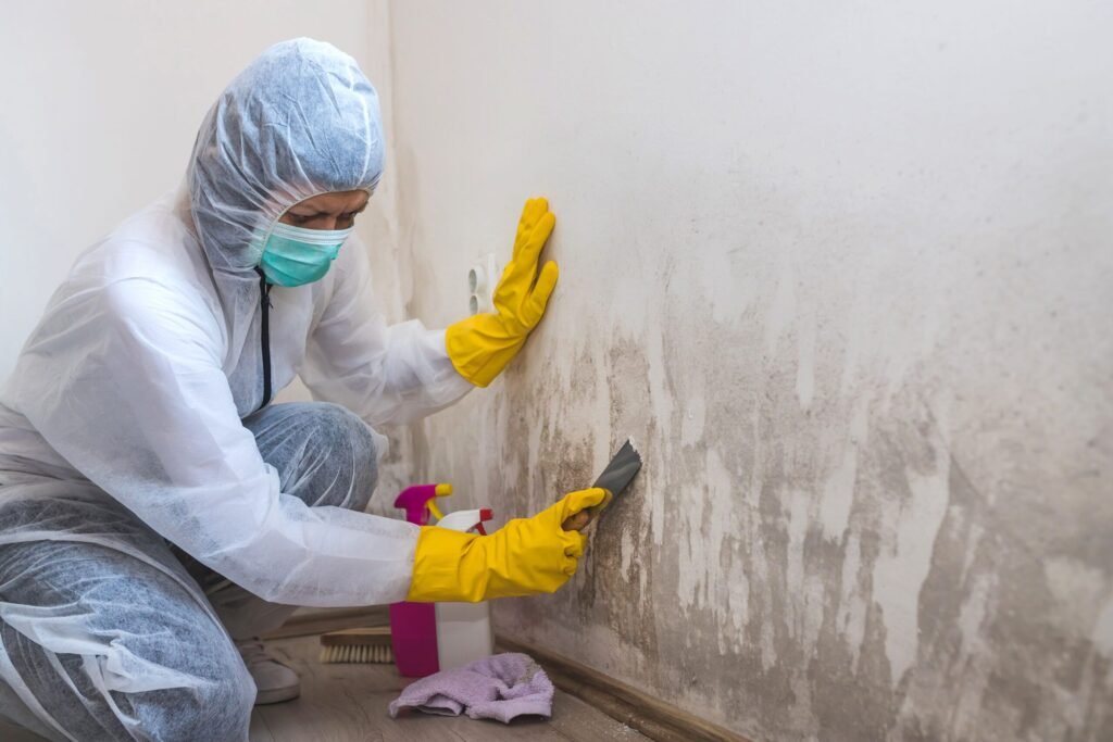 web lead get rid of mold scaled.jpg.optimal