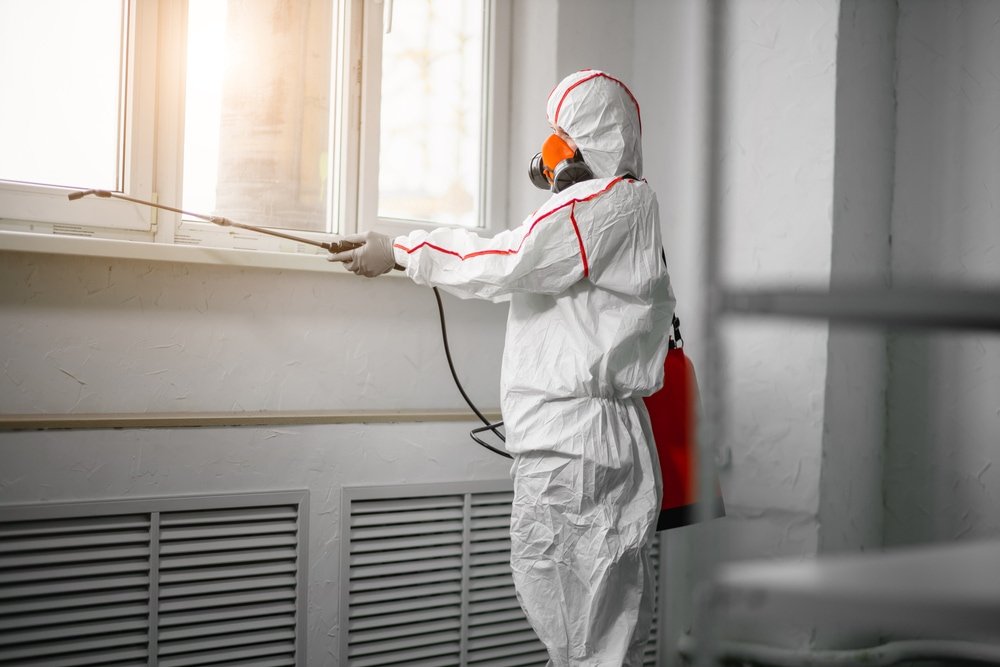 mold remediation professional 1