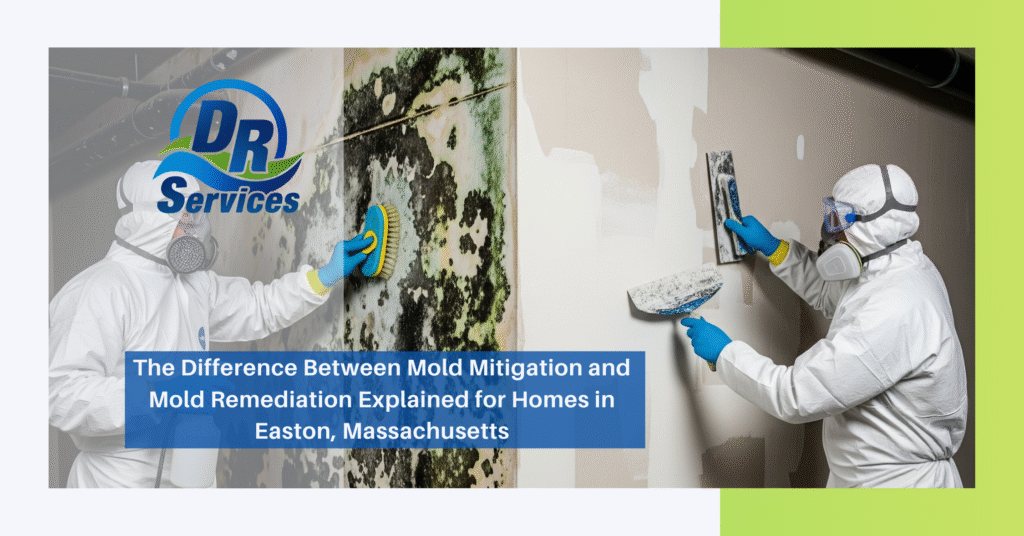 Mold Mitigation and Mold Remediation