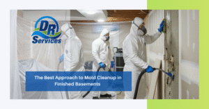 The Best Approach to Mold Cleanup in Finished Basements in Easton