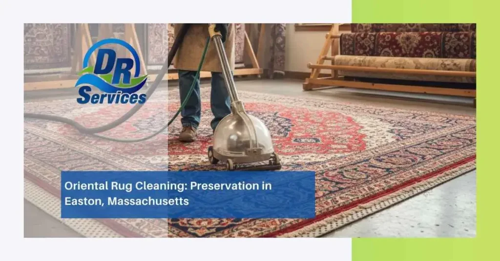 Oriental Rug Cleaning Preservation in Easton, Massachusetts