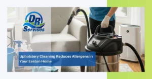 Upholstery Cleaning Reduces Allergens in Your Easton Home
