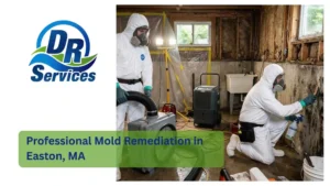 Professional Mold Remediation in Easton, MA