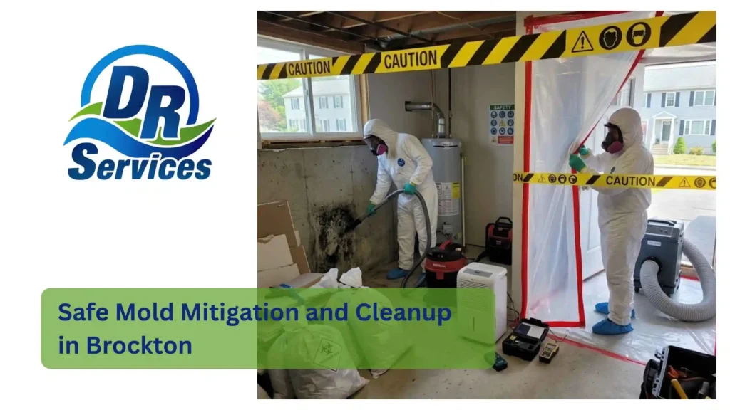 Safe Mold Mitigation and Cleanup in Brockton