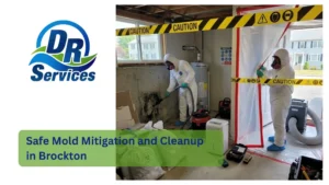 Safe Mold Mitigation and Cleanup in Brockton