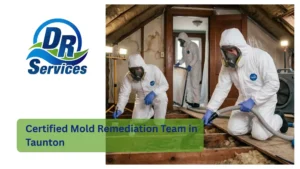 Certified Mold Remediation Team in Taunton