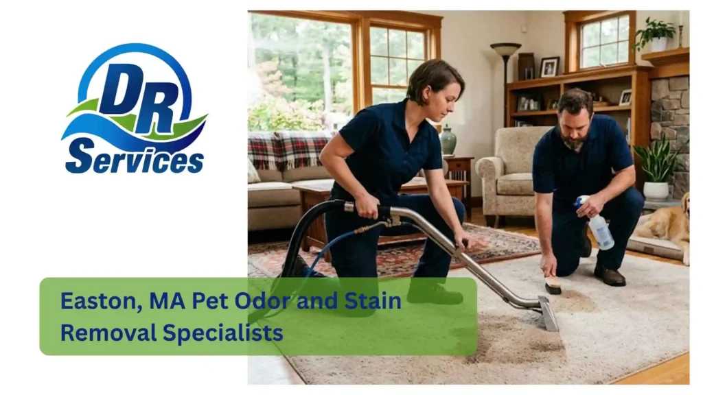 Easton, MA Pet Odor and Stain Removal Specialists