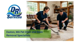 Easton, MA Pet Odor and Stain Removal Specialists