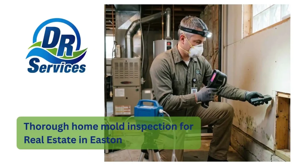 Thorough home mold inspection for Real Estate in Easton