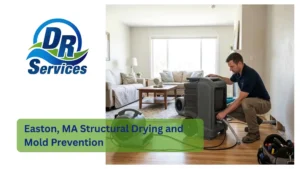 Easton, MA Structural Drying and Mold Prevention